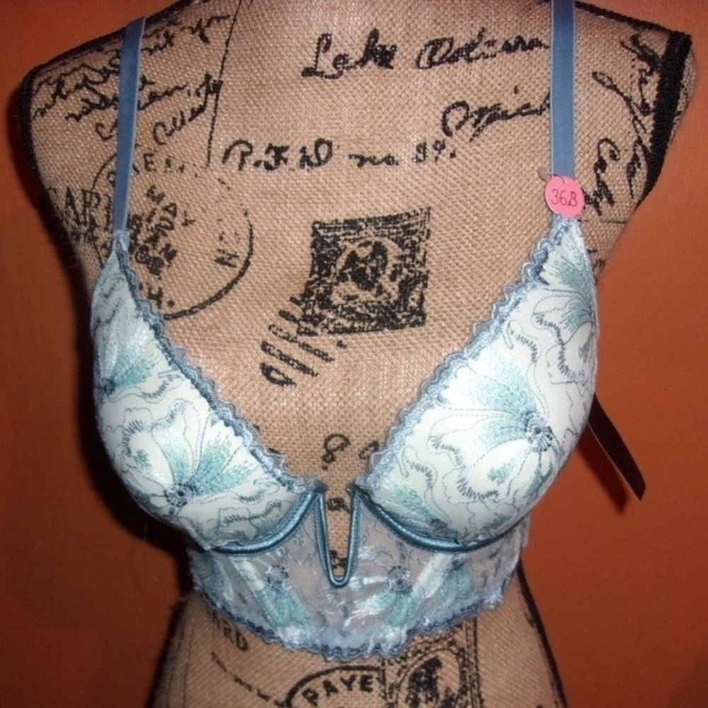 Youmita Blue Floral Embroidery Longline 34B Bra NWT